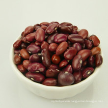 Hight Quality Bulk Canned Small Red Kidney Beans